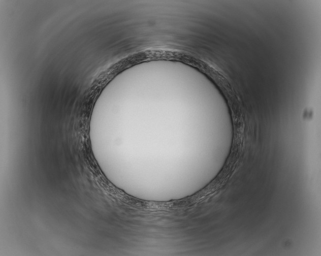 X0000115620870200911101054