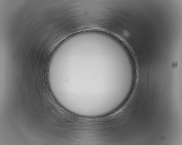 X0000115620873200911101054