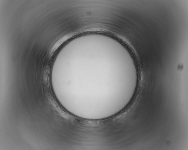 X0000115620874200911101054