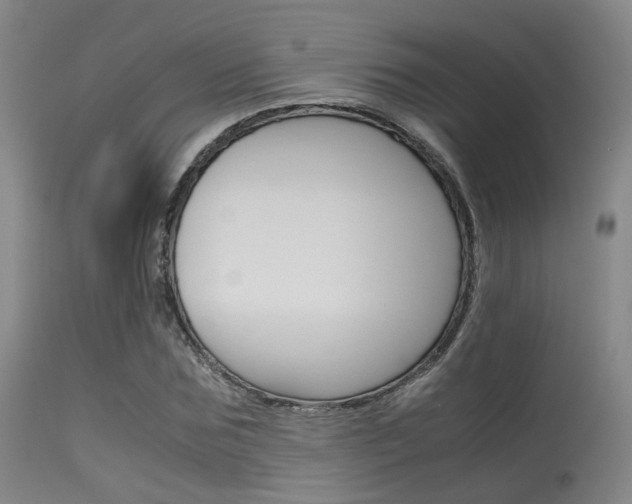 X0000115620875200911101054