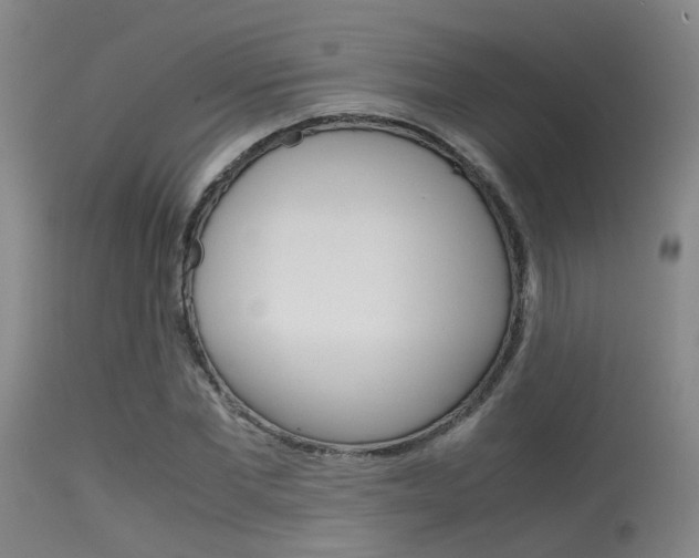 X0000115620877200911101054