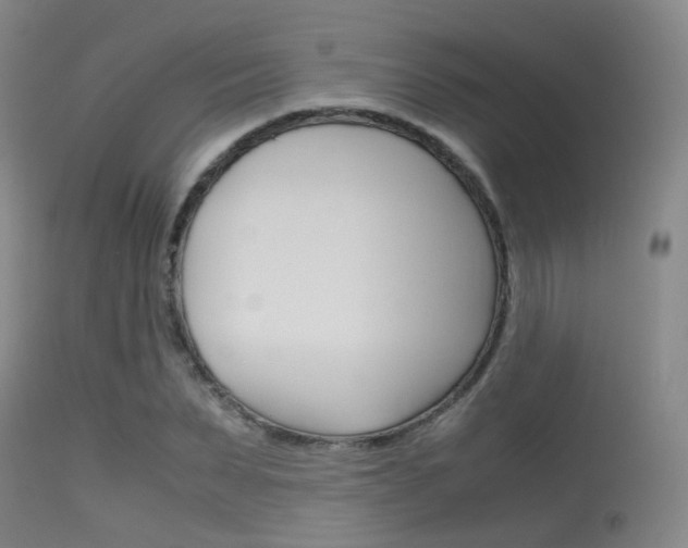 X0000115620879200911101054