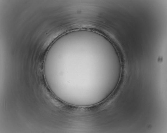X0000115620881200911101054