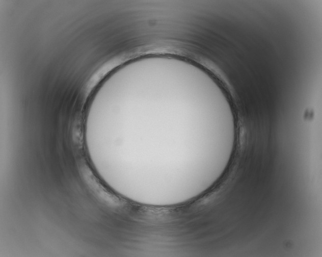 X0000115620882200911101054