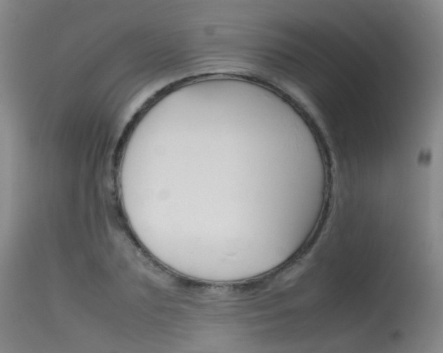 X0000115620883200911101054