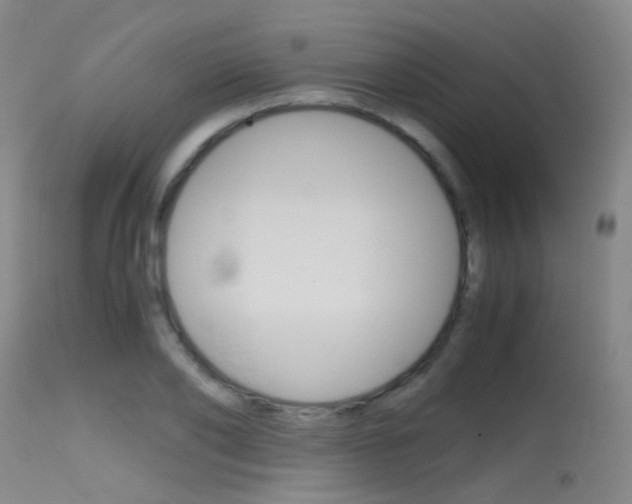 X0000115620886200911101054