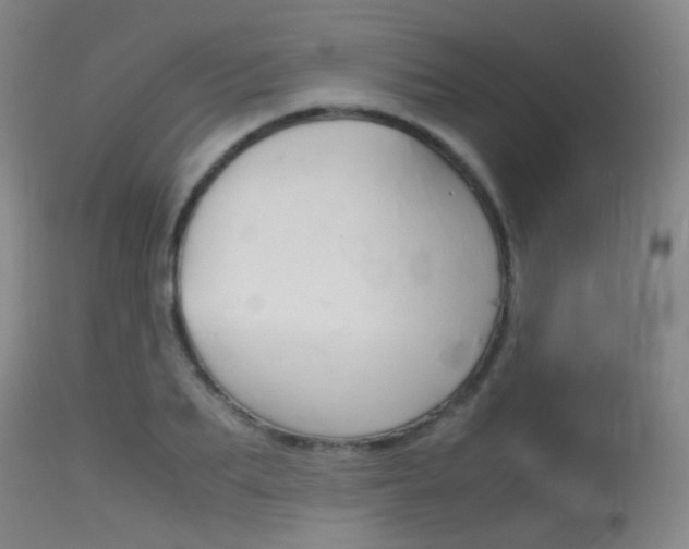 X0000115620887200911101054