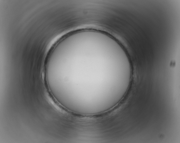 X0000115620888200911101054