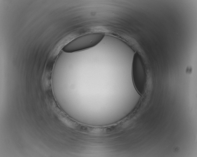 X0000115620889200911101054