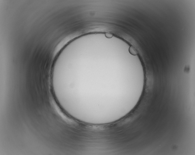 X0000115620890200911101054