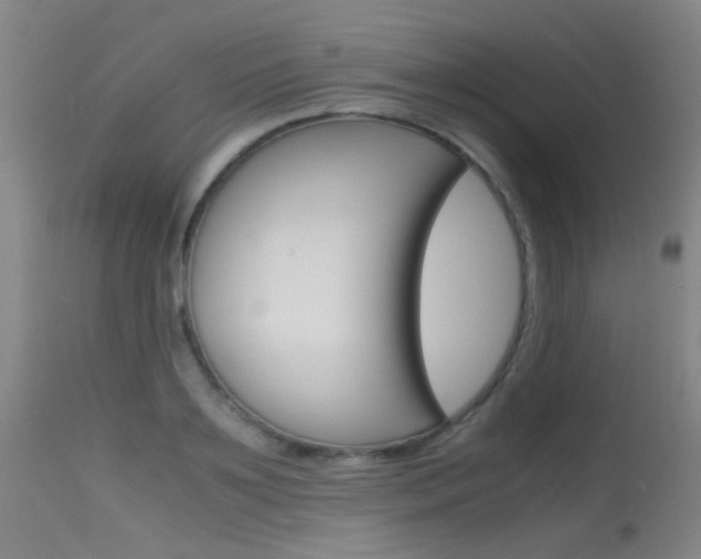 X0000115620891200911101054