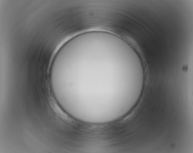 X0000115620892200911101054