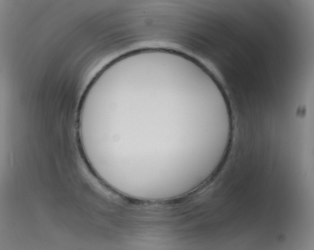 X0000115620895200911101053