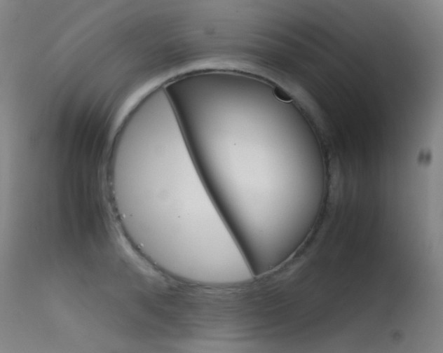 X0000115620896200911101053