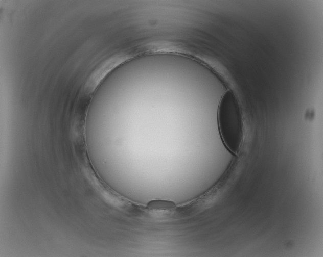 X0000115620897200911101053