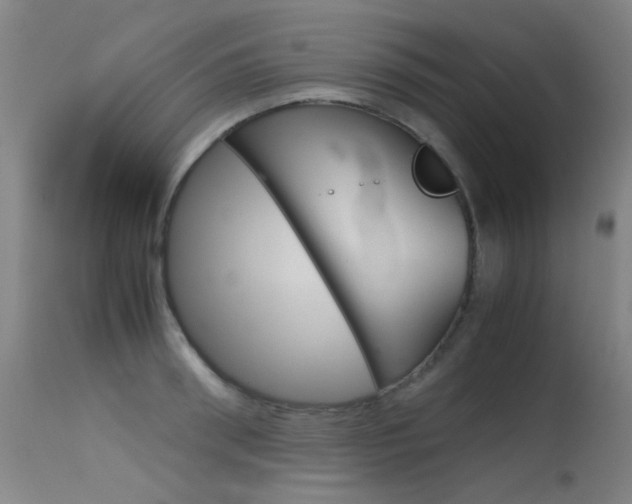 X0000115620898200911101053
