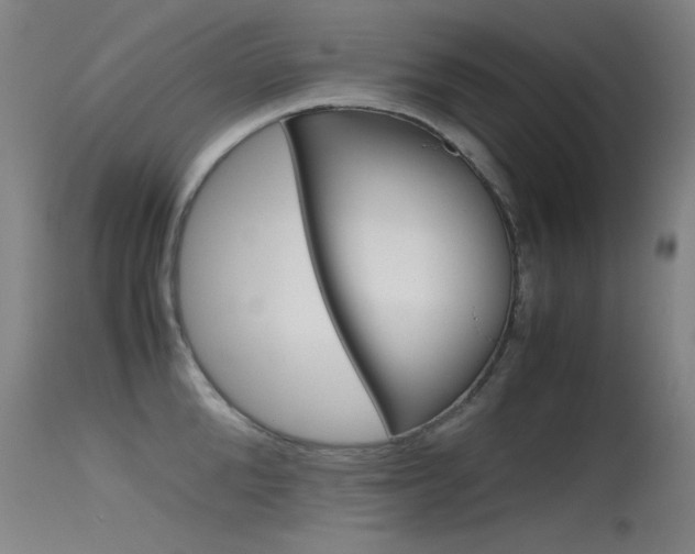 X0000115620904200911101053