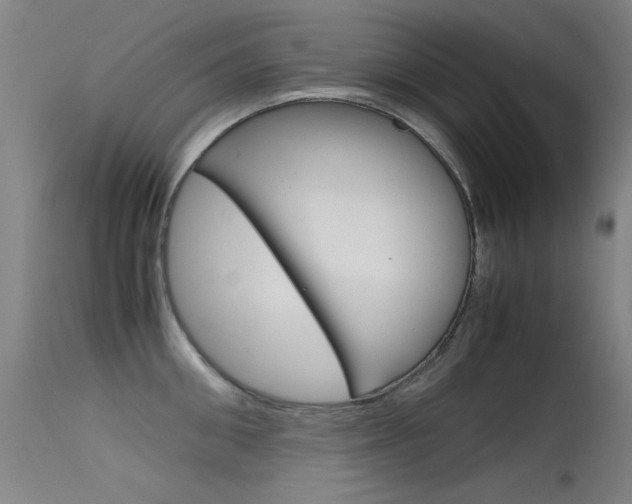 X0000115620906200911101053