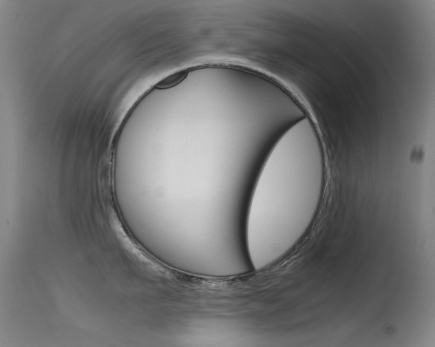 X0000115620911200911101053
