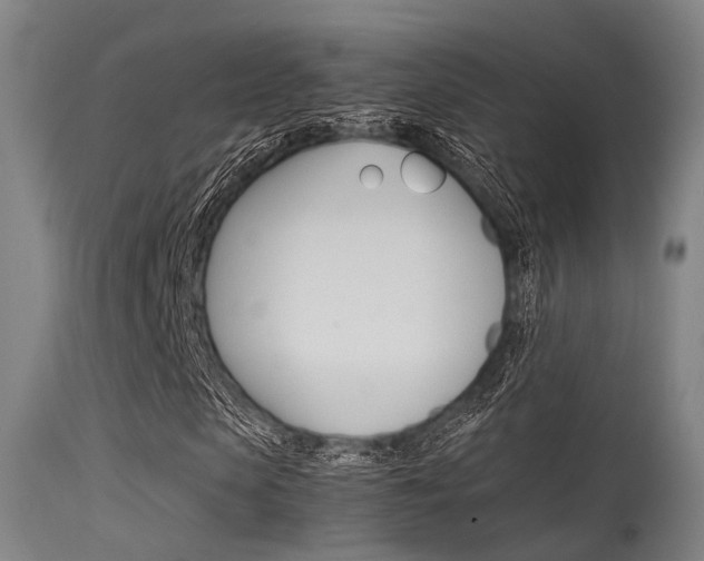 X0000115620913200911101053