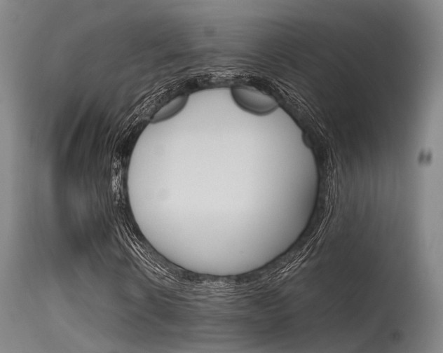 X0000115620914200911101053