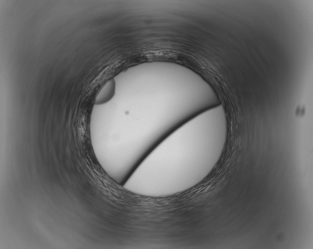 X0000115620915200911101053