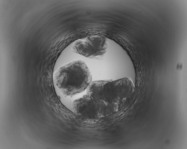 X0000115620917200911101053