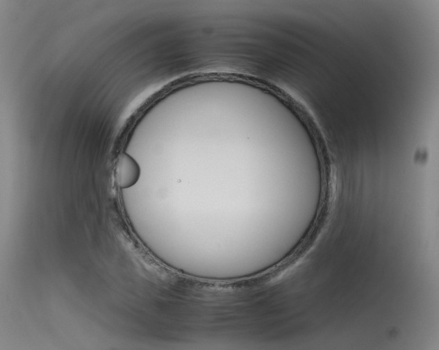 X0000115620925200911101053