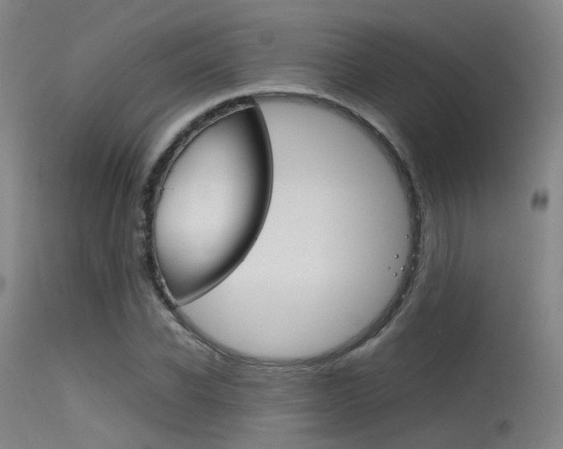 X0000115620926200911101053