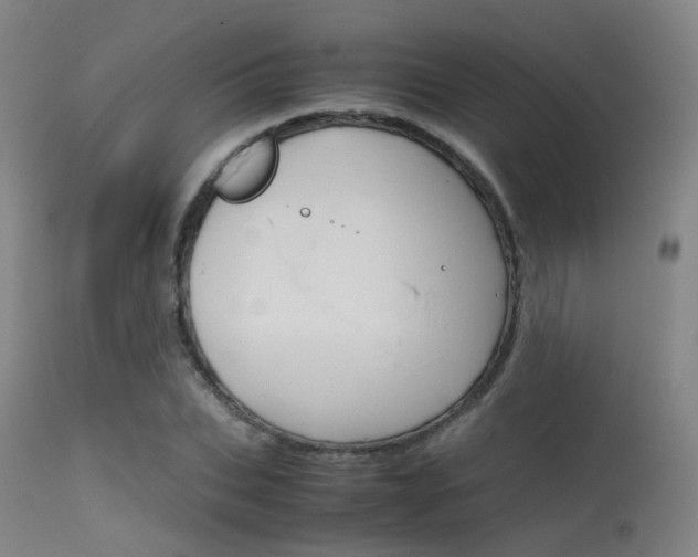 X0000115620927200911101053