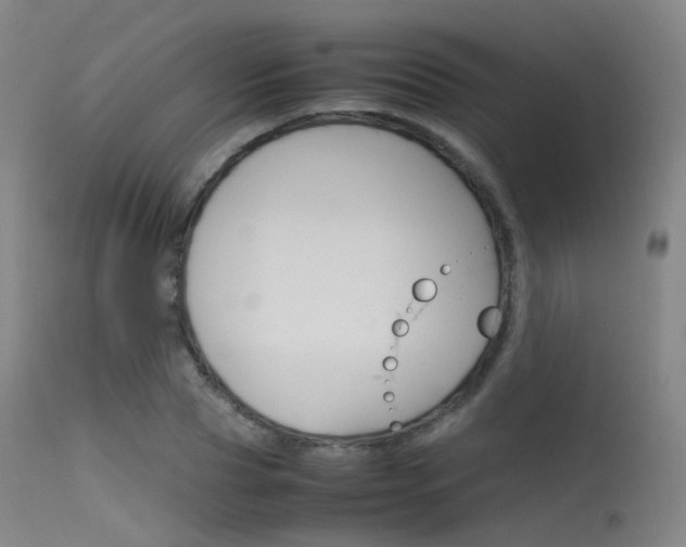 X0000115620929200911101053