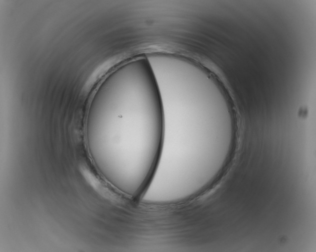X0000115620930200911101053