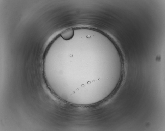 X0000115620933200911101053