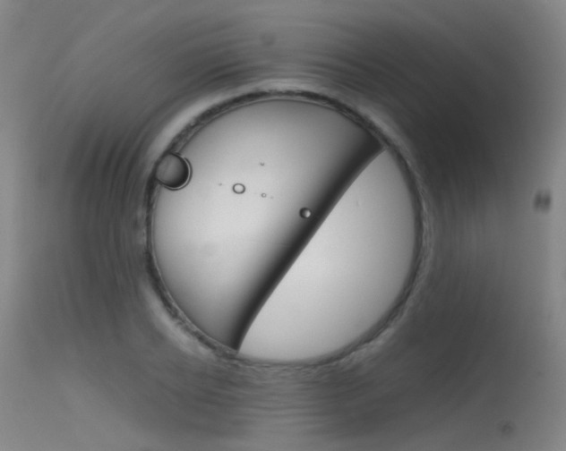 X0000115620934200911101053