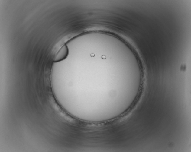 X0000115620937200911101053