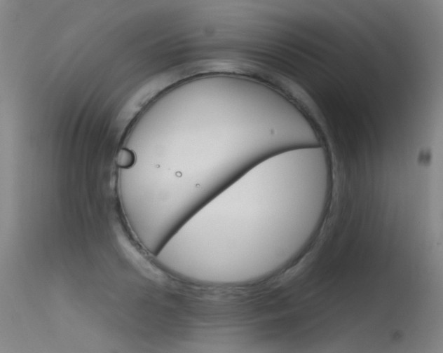 X0000115620938200911101053