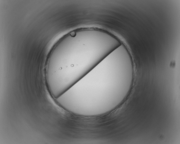 X0000115620943200911101053
