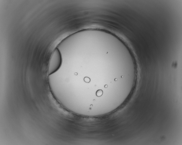 X0000115620945200911101053