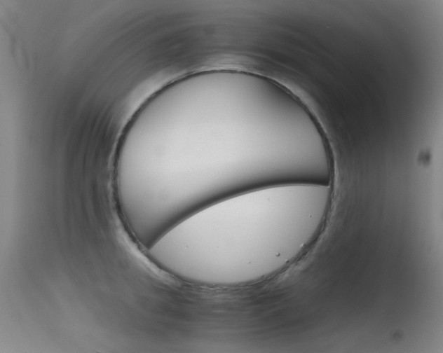 X0000115620949200911101053