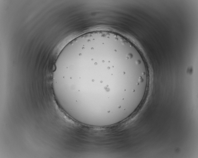 X0000115620953200911101053