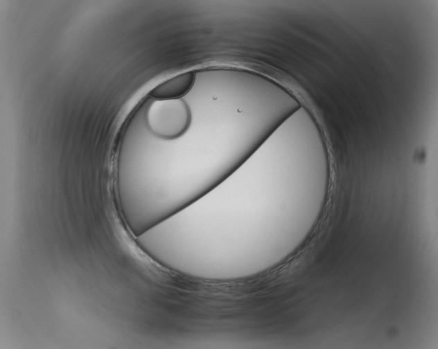 X0000115620955200911101053