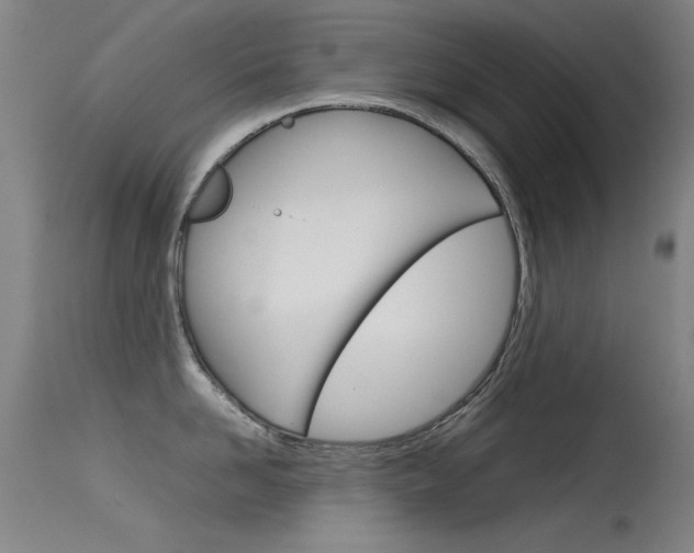 X0000115620958200911101053