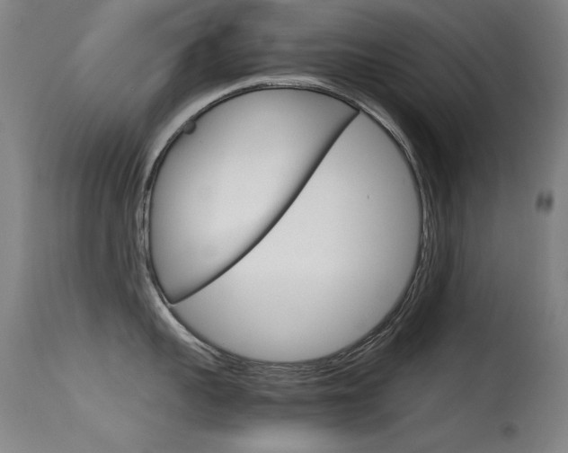 X0000115620959200911101053