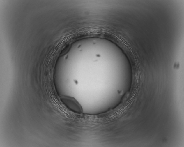 X0000115620961200911101053