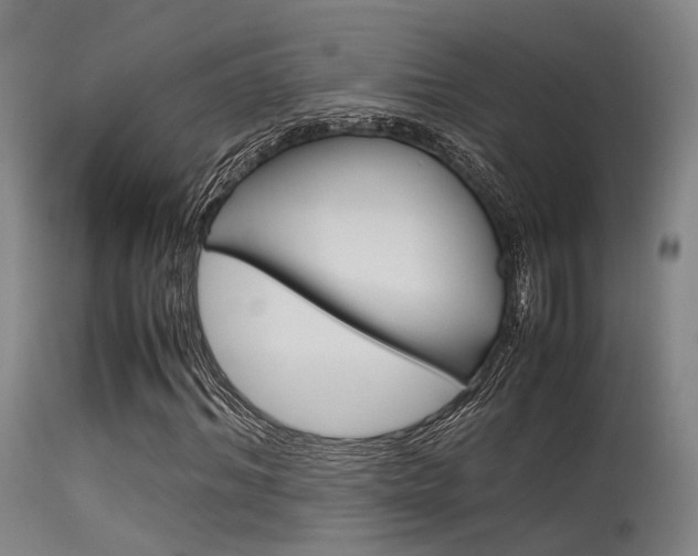 X0000115620964200911101053