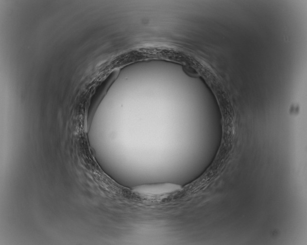 X0000115620965200911101052