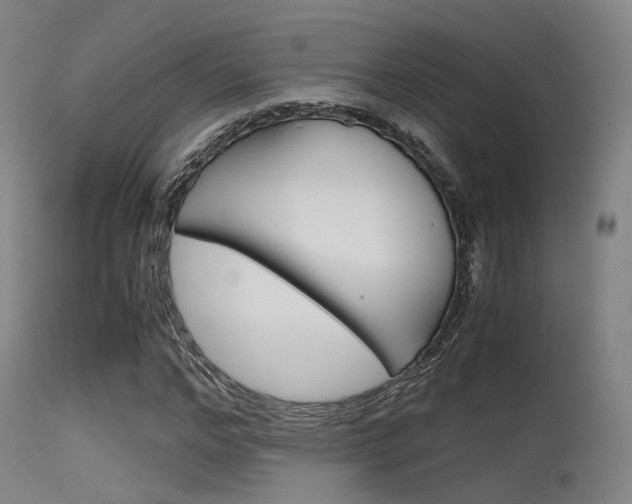 X0000115620968200911101052
