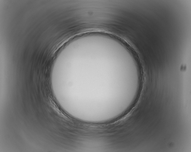 X0000115620969200911101052