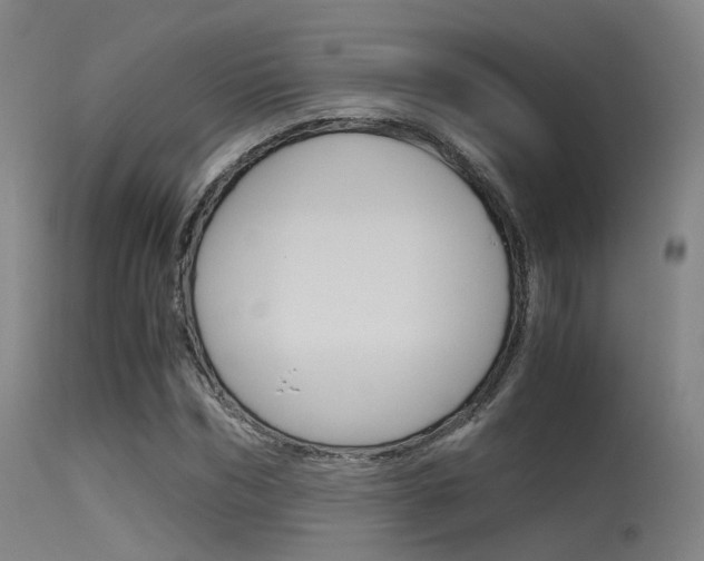 X0000115620970200911101052