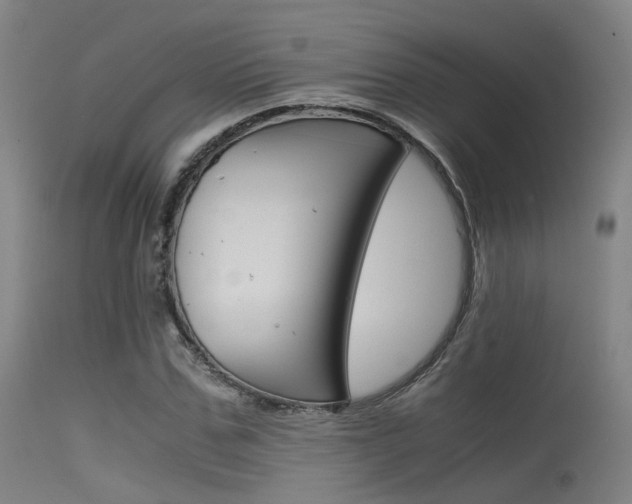 X0000115620971200911101052